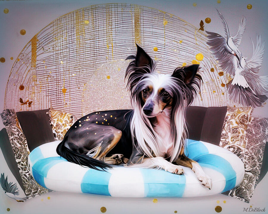 Royal Chinese Crested Photograph by Marilyn DeBlock - Fine Art America