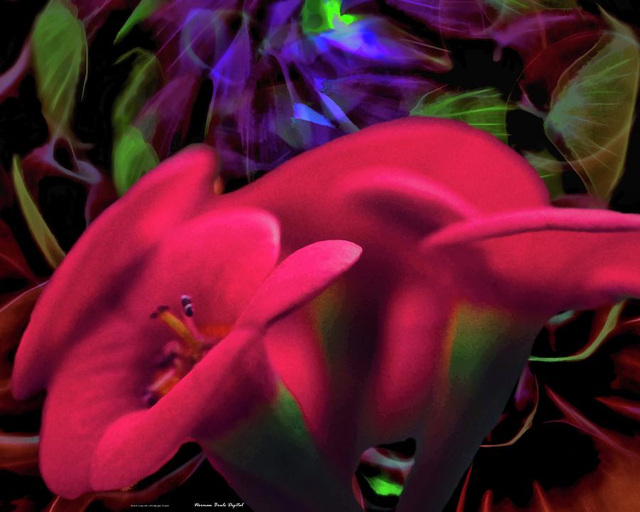 Royal Colors Digital Art by Norman Brule