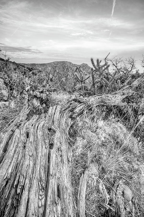 Royal Gorge Texture Black and WHite Photograph by JC Findley