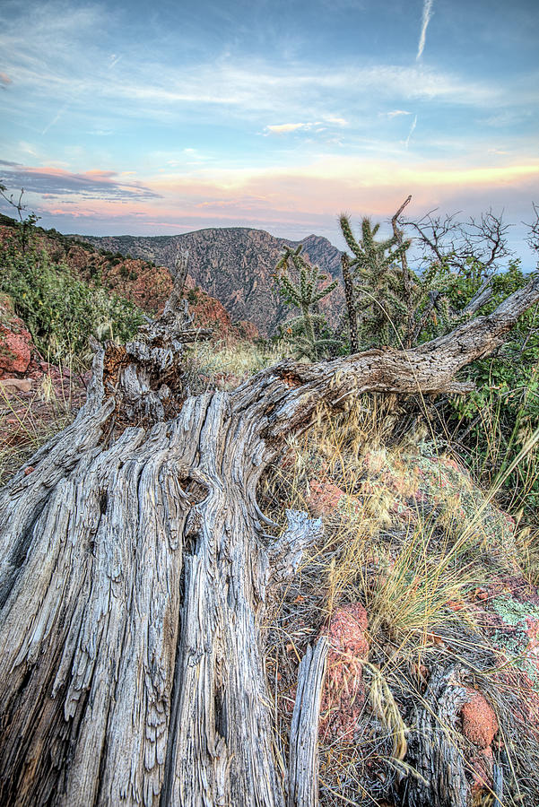 Royal Gorge Texture Photograph by JC Findley