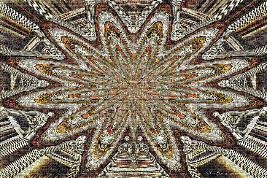 Royal Palm Flower Pod Abstract Digital Art by Tom Janca