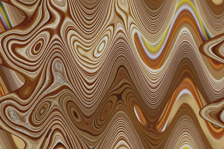 Royal Palm Seed Pod Abstract Digital Art by Tom Janca Royal Palm Seed Pod Abstract Digital Art by Tom Janca
