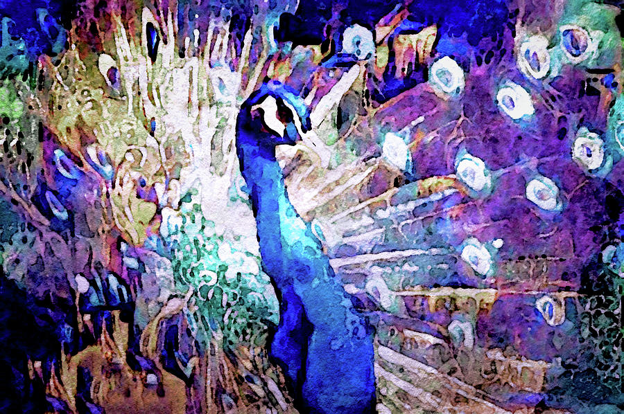Wildlife Digital Art - Royal Peacock by Susan Maxwell Schmidt