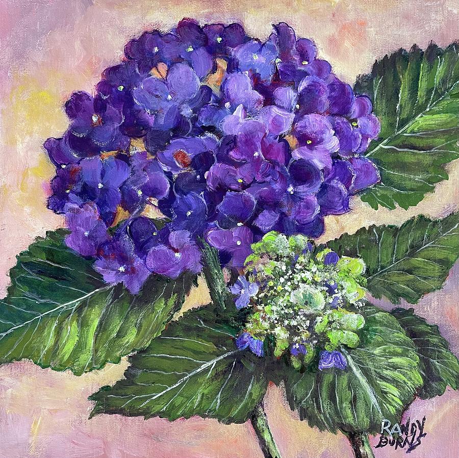 Royal Purple Hydrangea Painting by Rand Burns