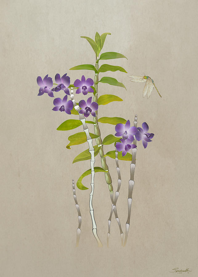 Royal Purple Orchid Digital Art by M Spadecaller
