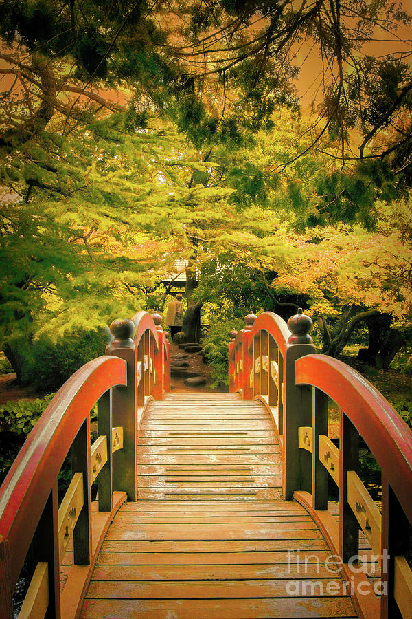 Royal Road Japanese Garden Bridge Photograph by Marilyn Cornwell