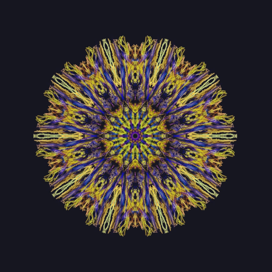 Royalty Mandala of Kosmic Kreation Digital Art by Michael Canteen