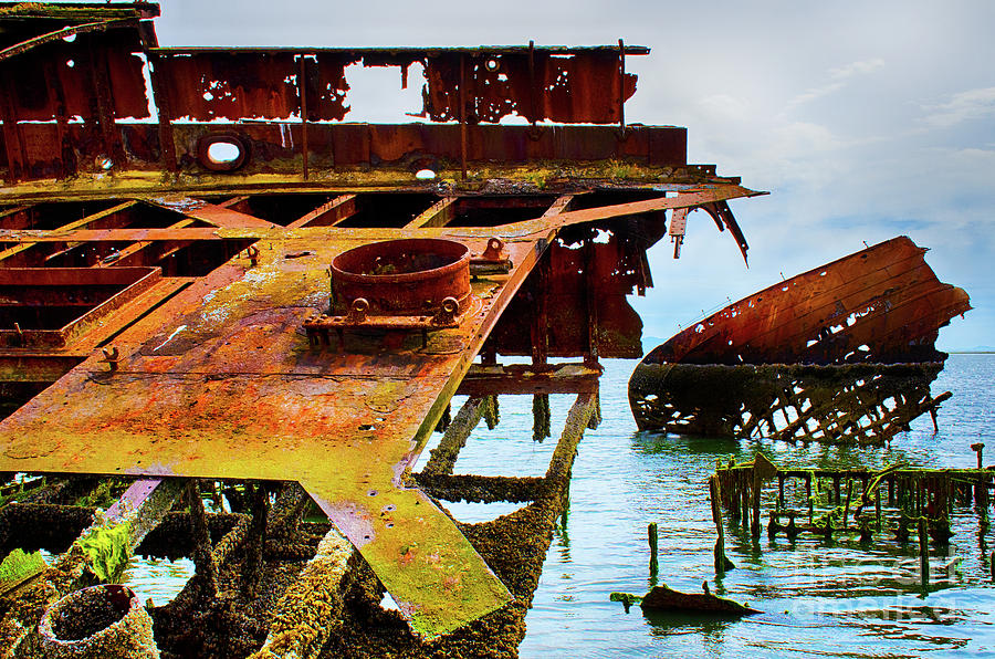 Royston Ship Wrecks 4 Photograph by Bob Christopher