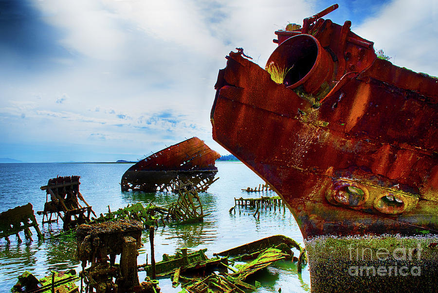 Royston Ship Wrecks 5 Photograph by Bob Christopher