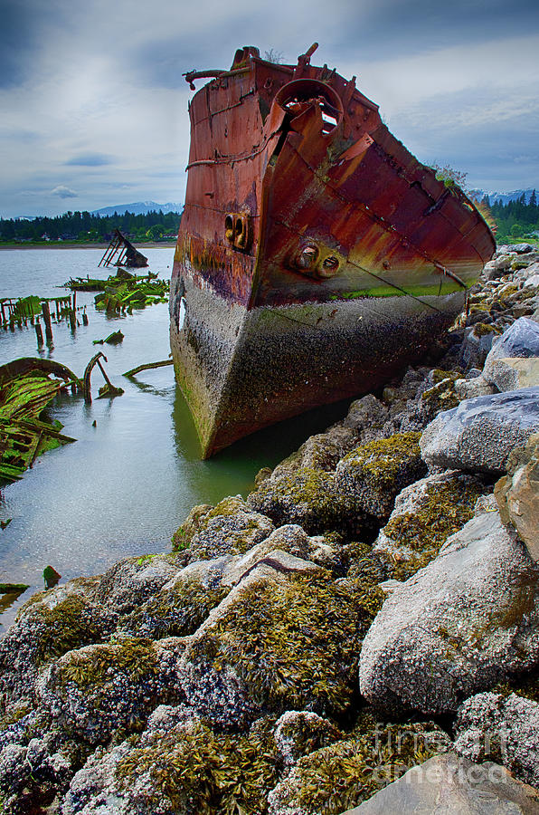 Royston Ship Wrecks 7 Photograph by Bob Christopher