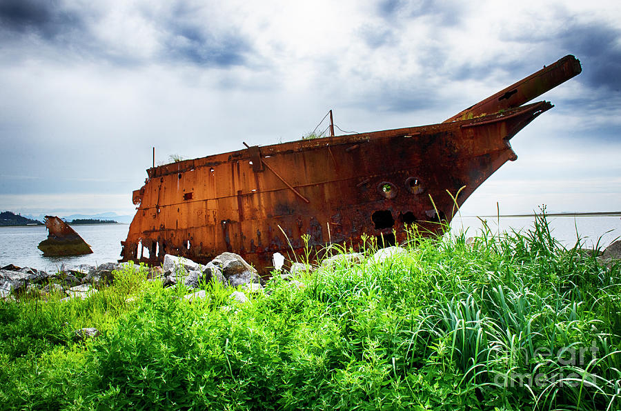 Royston Ship Wrecks  Photograph by Bob Christopher