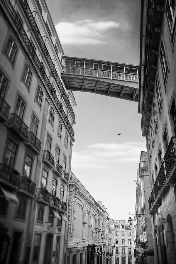 City Photograph - Rua do Carmo Lisbon Portugal Black and White  by Carol Japp