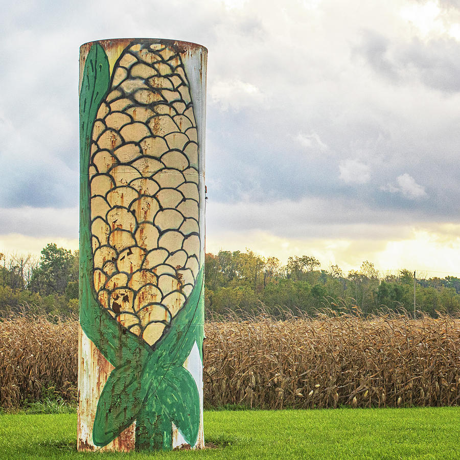 Rual Mural - Tank or Grain Bin in Indiana Photograph by Bob Decker