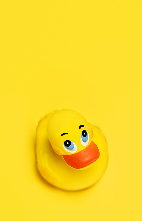 Rubber duck on yellow background Photograph by Peter Dazeley