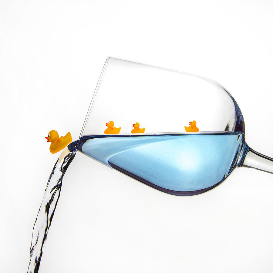 Rubber ducks in a wine glass Photograph by Thegoodly