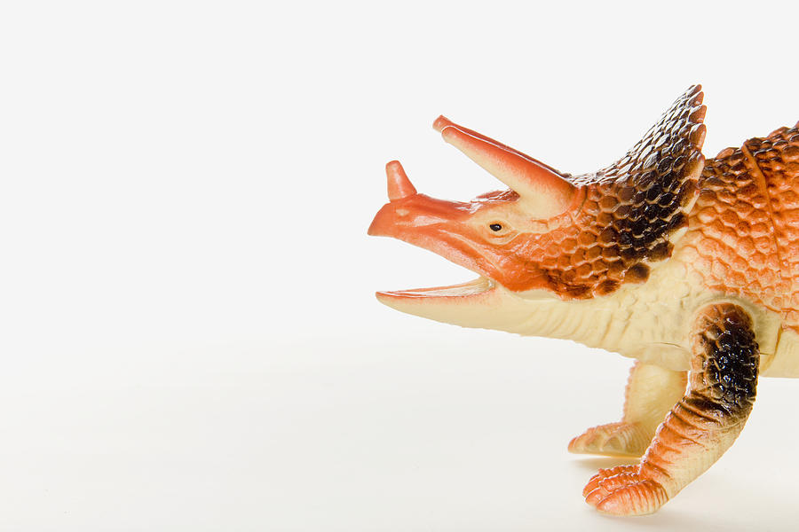Rubber Toy Dinosaur Photograph by Jack Wild