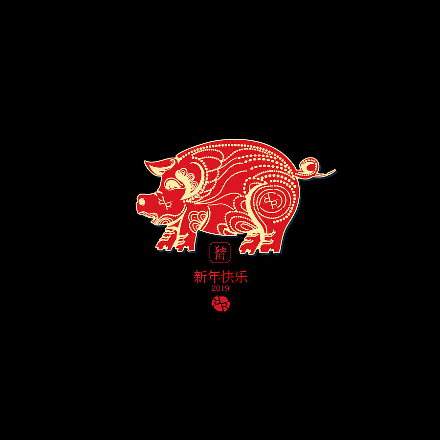 Rubino Brand Tees Tee T-Shirt T Shirt Chinese Pig Painting by Tony Rubino