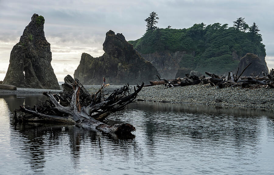 Ruby Beach 7 Photograph by Frank Barnitz Fine Art America