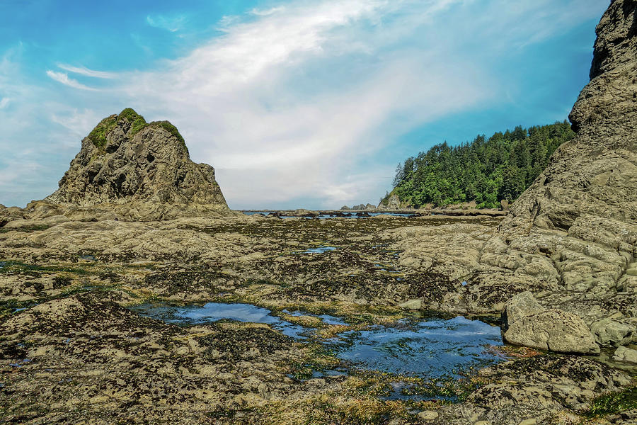 Ruby Beach Low Tide Washington Photograph by Dan Sproul - Fine Art America