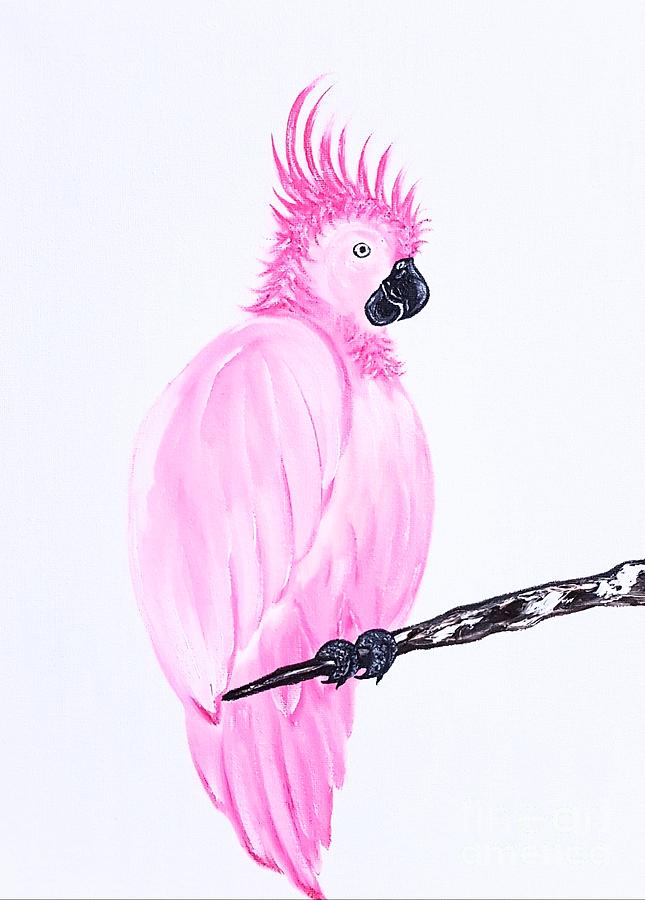 Ruby the parrot pink Painting by Angela Whitehouse