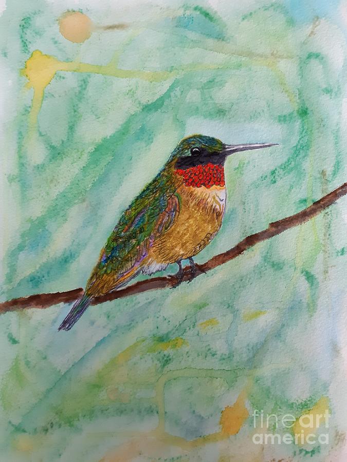 Ruby Throated Hummingbird Painting by Anne Ditmars - Fine Art America