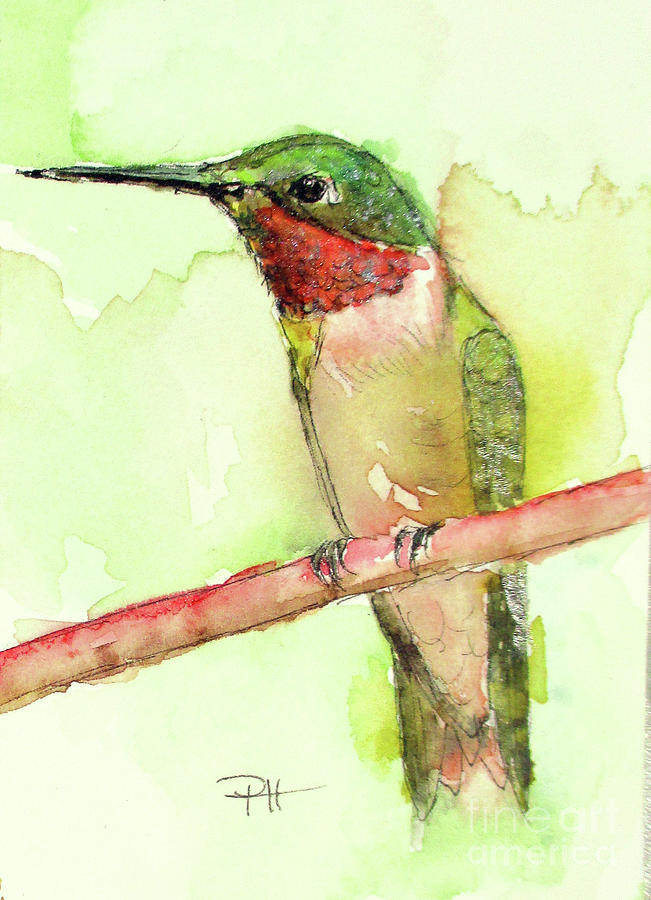Ruby Throated Hummingbird Mixed Media by Patricia Henderson
