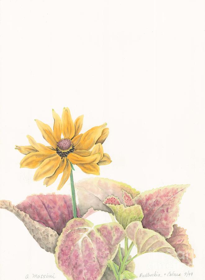 Rudbeckia and Coleus Painting by Albert Massimi