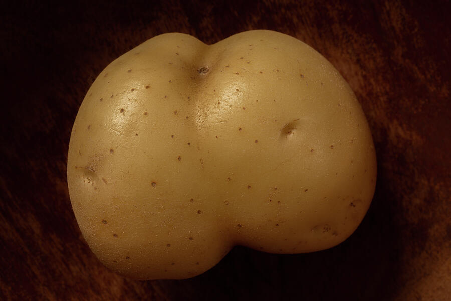 Rude Potato #3 Photograph by David Smith