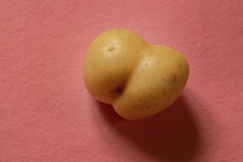 Rude Potato Pink Background #2 Photograph by David Smith