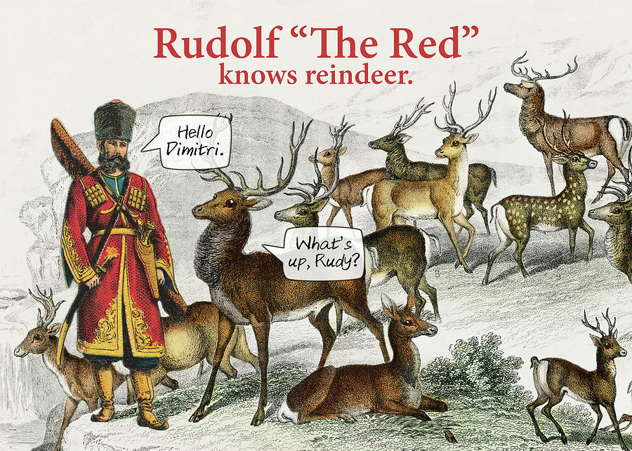Rudolf The Red Photograph by Steve Lockwood