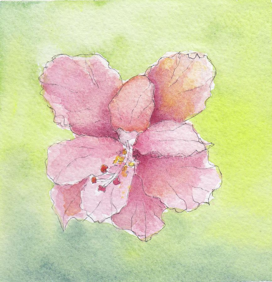 Ruffled Hibiscus #2 Painting by Anne Katzeff