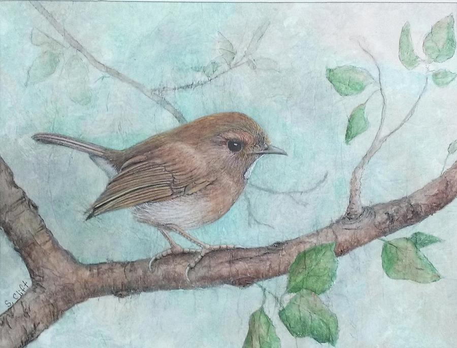 Flycatcher Mixed Media - Rufous browed flycatcher by Sandy Clift