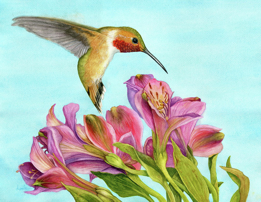 Rufous Hummingbird Painting - Rufous Hummingbird by Linda Apple