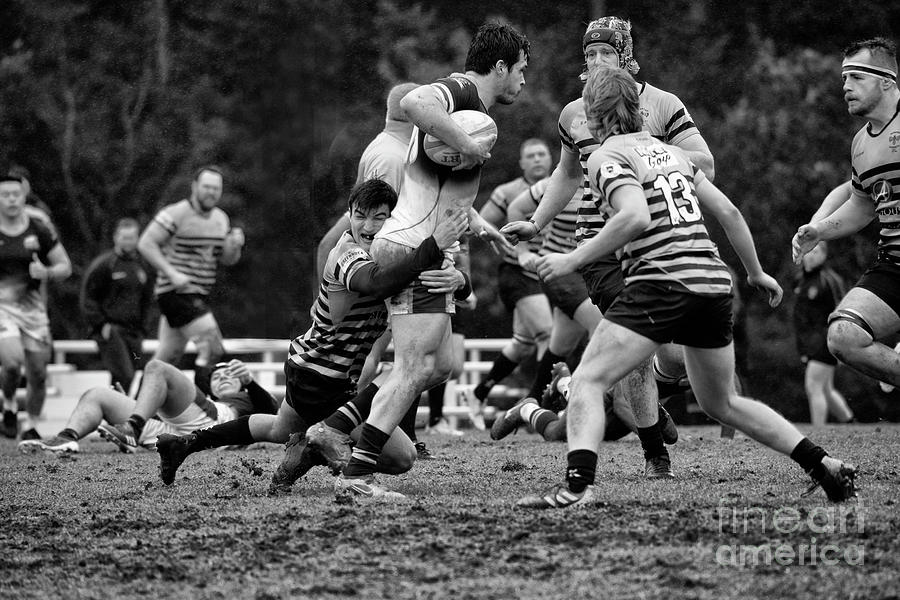 Sports Photograph - Rugby Lets Get Physical 54 by Bob Christopher