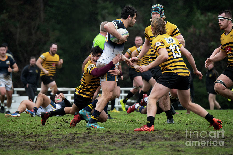 Sports Photograph - Rugby Lets Get Physical 55 by Bob Christopher