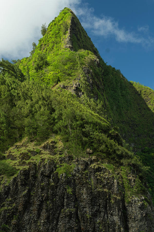 Rugged cliffs of the Koolau Mountains Photograph by David L Moore - Pixels