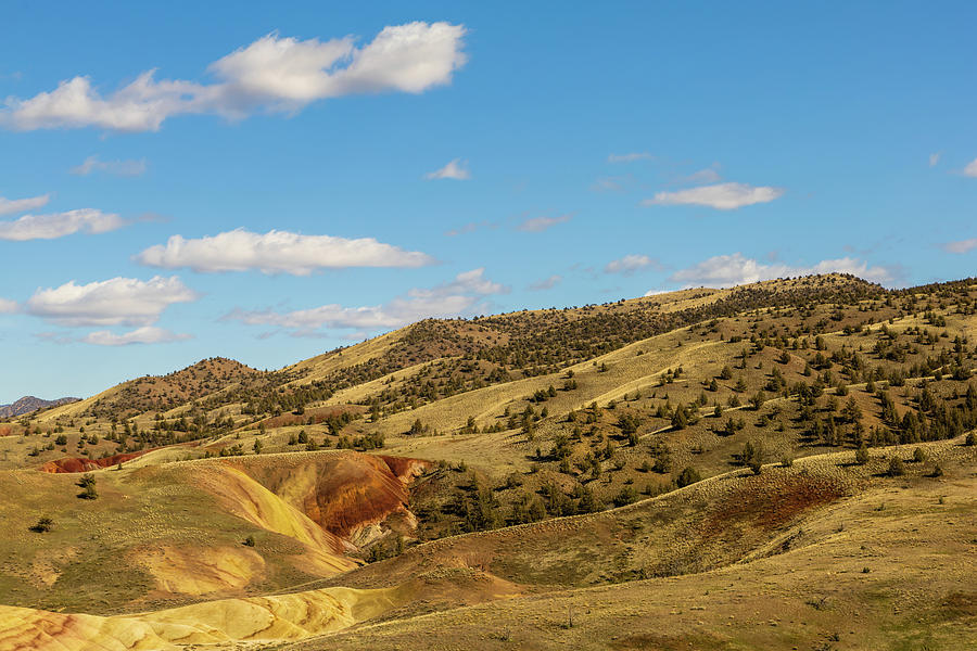 Rugged Colorful Painted Hills Photograph by Aashish Vaidya