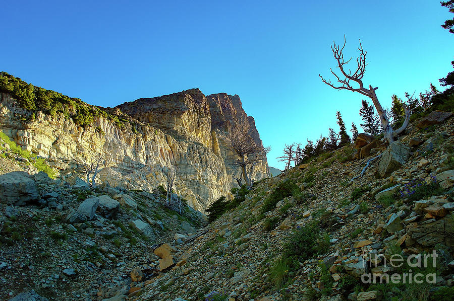 Mountain Photograph - Rugged landscape Glacier National Park by Jeff Swan