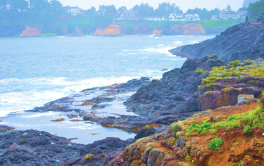 Rugged Oregon Coast Photograph by Nancy Jenkins - Pixels