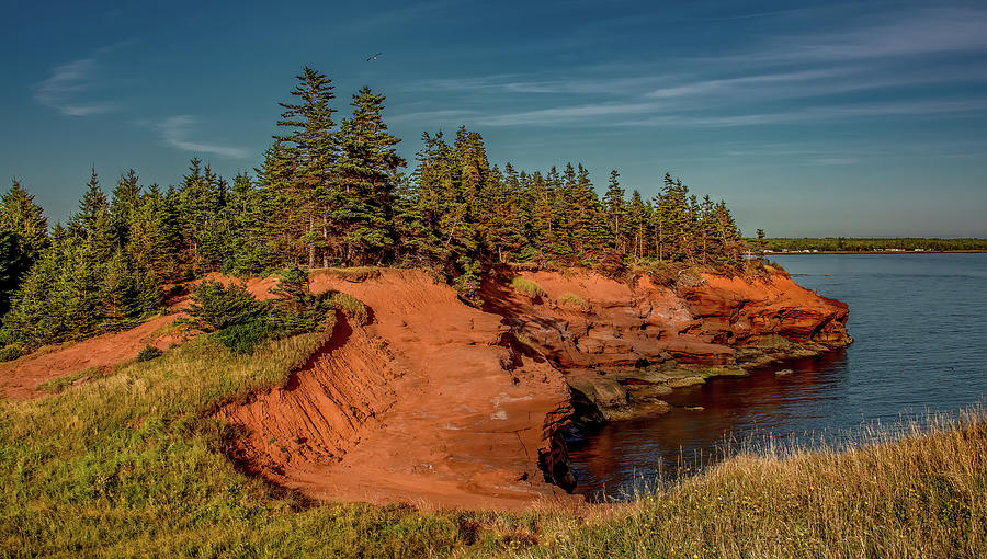 Rugged Red Cliffs of Prince Edward Island Photograph by Marcy Wielfaert