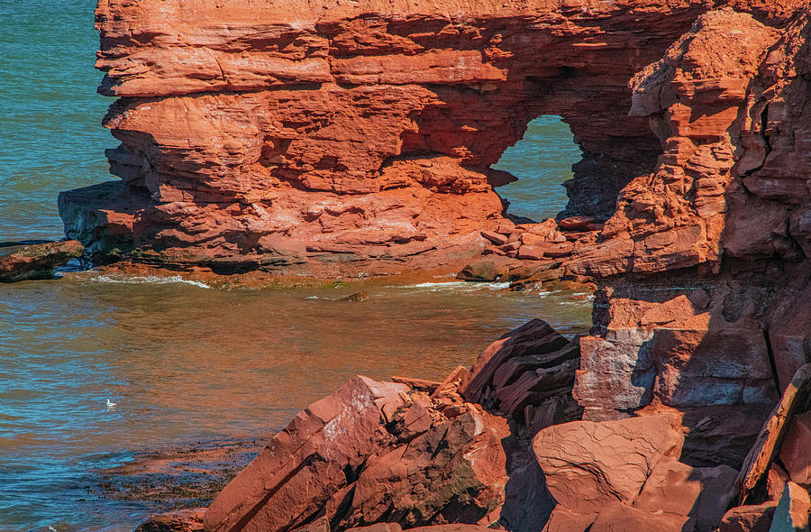 Rugged Rocky Shore of Prince Edward Island Photograph by Marcy Wielfaert