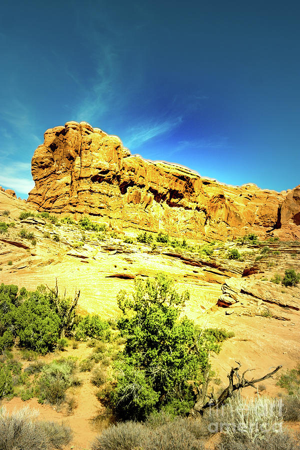 Rugged Utah Landscape Photograph