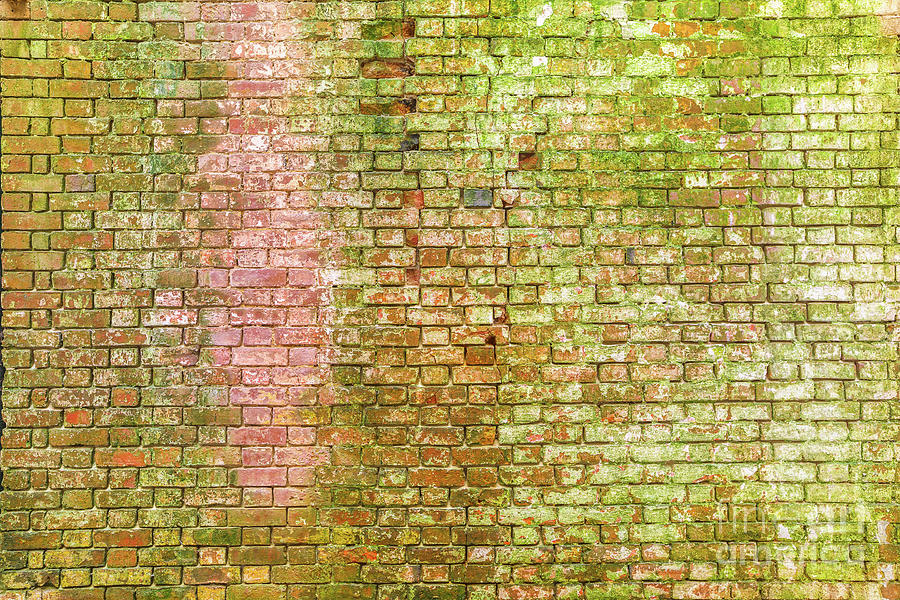 Ruined bricks wall texture Photograph by Benny Marty