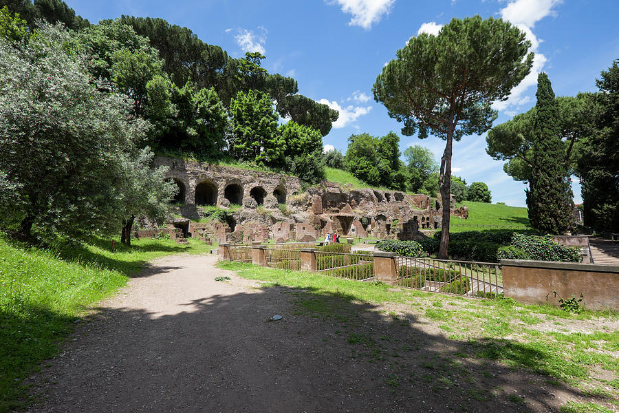 ruins from antiquity on Palatine Hill Photograph by David L Moore