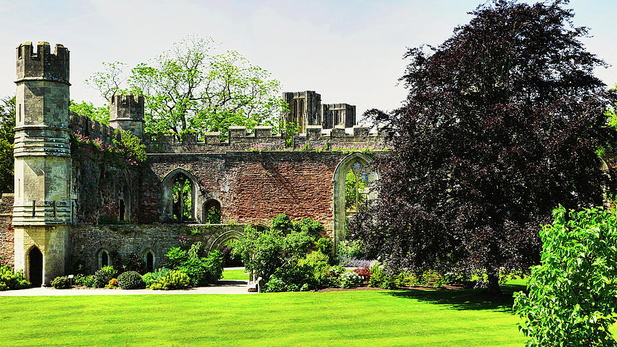Ruins of Bishops Palace Wells England Photograph by Lexa Harpell