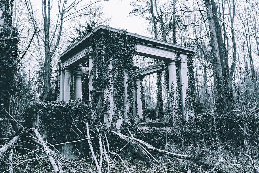 Ruins of King Zogs Estate, Long Island Photograph by Eugene Nikiforov