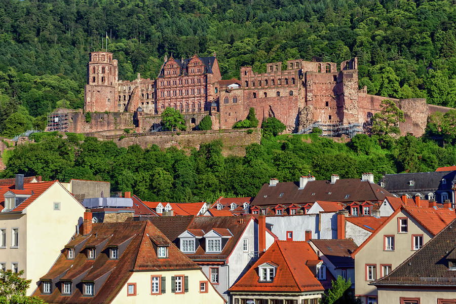 Ruins of old castle in Heidelberg, Germany Photograph by Elenarts - Elena Duvernay photo