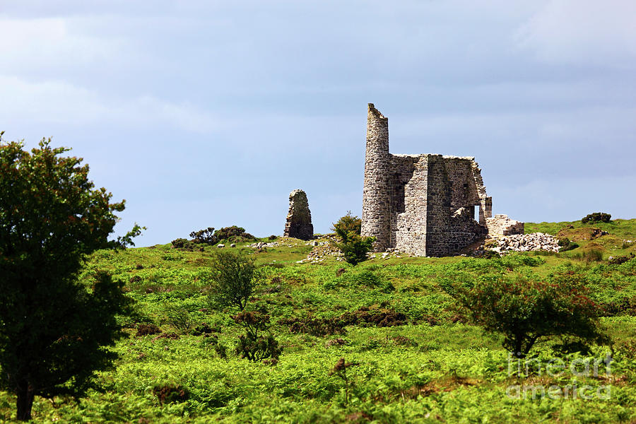 Ruins of the New Phoenix Mine Bodmin Moor Cornwall Photograph by James Brunker