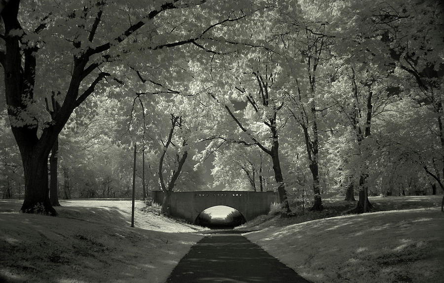 Rukowski Park Photograph by Rene Logeais - Fine Art America