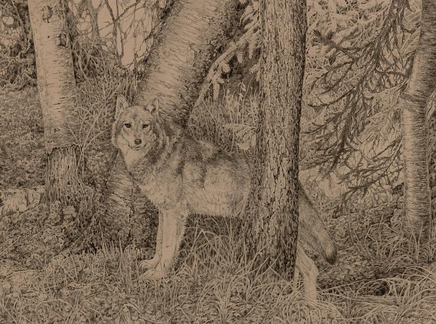 Ruler of the Wood Drawing by Michelle Garlock